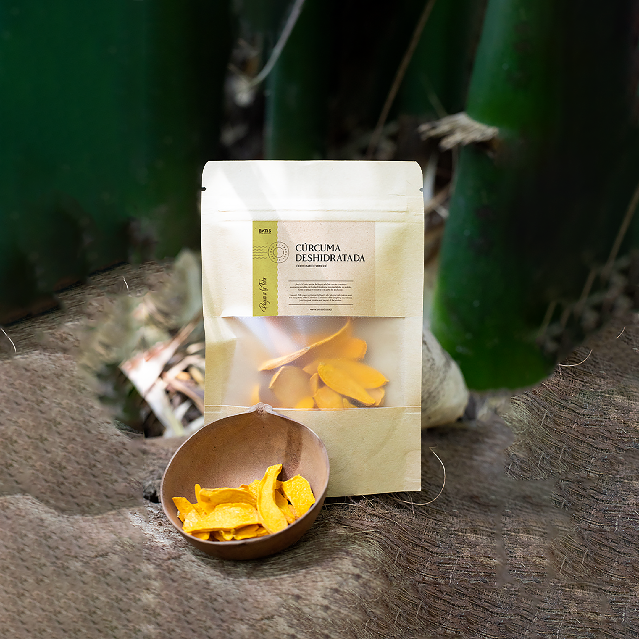 Cúrcuma x 10g